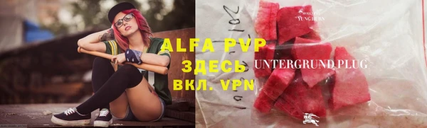 ГАЛЛЮЦИНОГЕННЫЕ ГРИБЫ Алзамай
