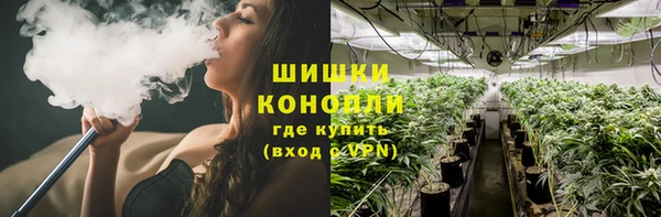PSILOCYBIN Алексин